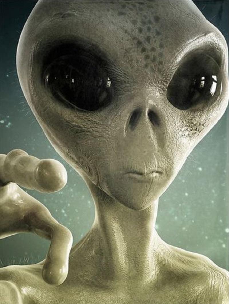 Alien Perspectives: How Extraterrestrials Might Perceive the Universe