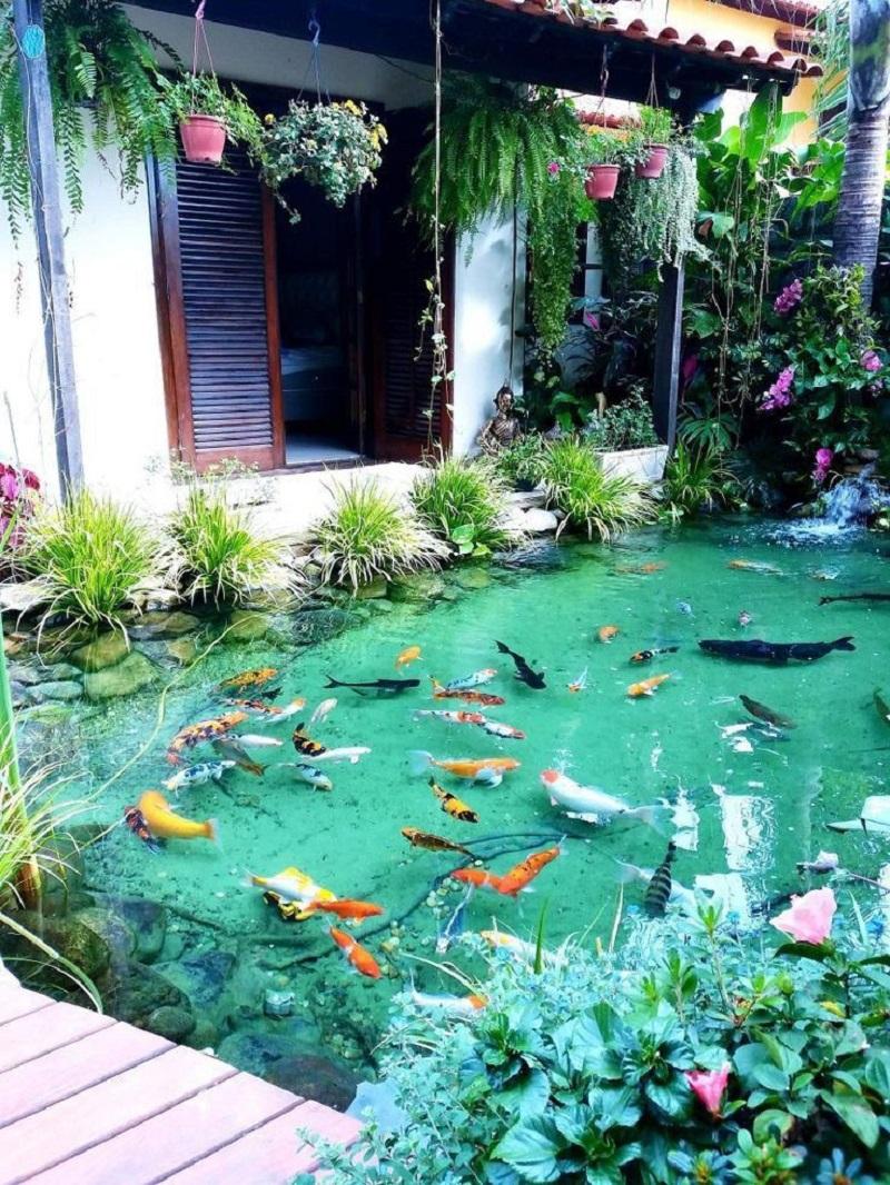 Dive into Tranquility: Why an Aquarium in Your Garden Is a Unique Choice